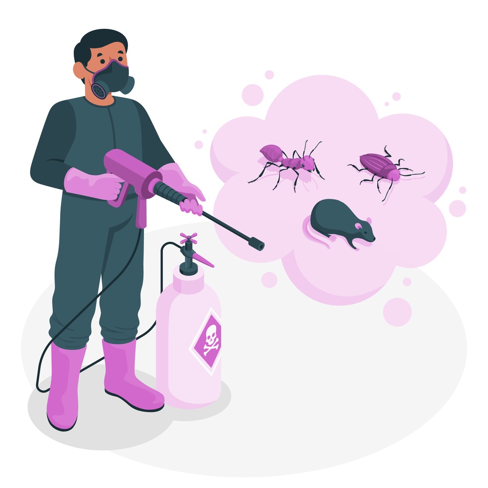 infestação de insetos