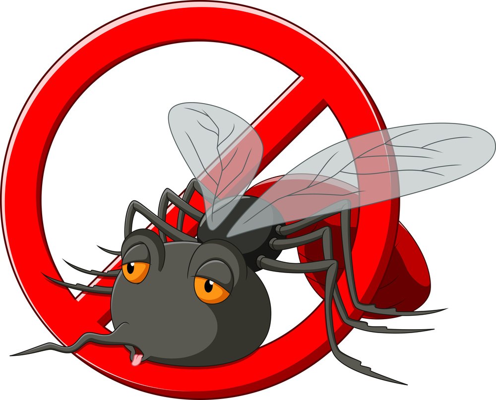 como acabar com mosquitos